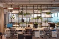 Oficinas MXT